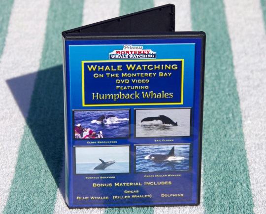 Whale Watching on The Monterey Bay, Featuring Humpback Whales. DVD